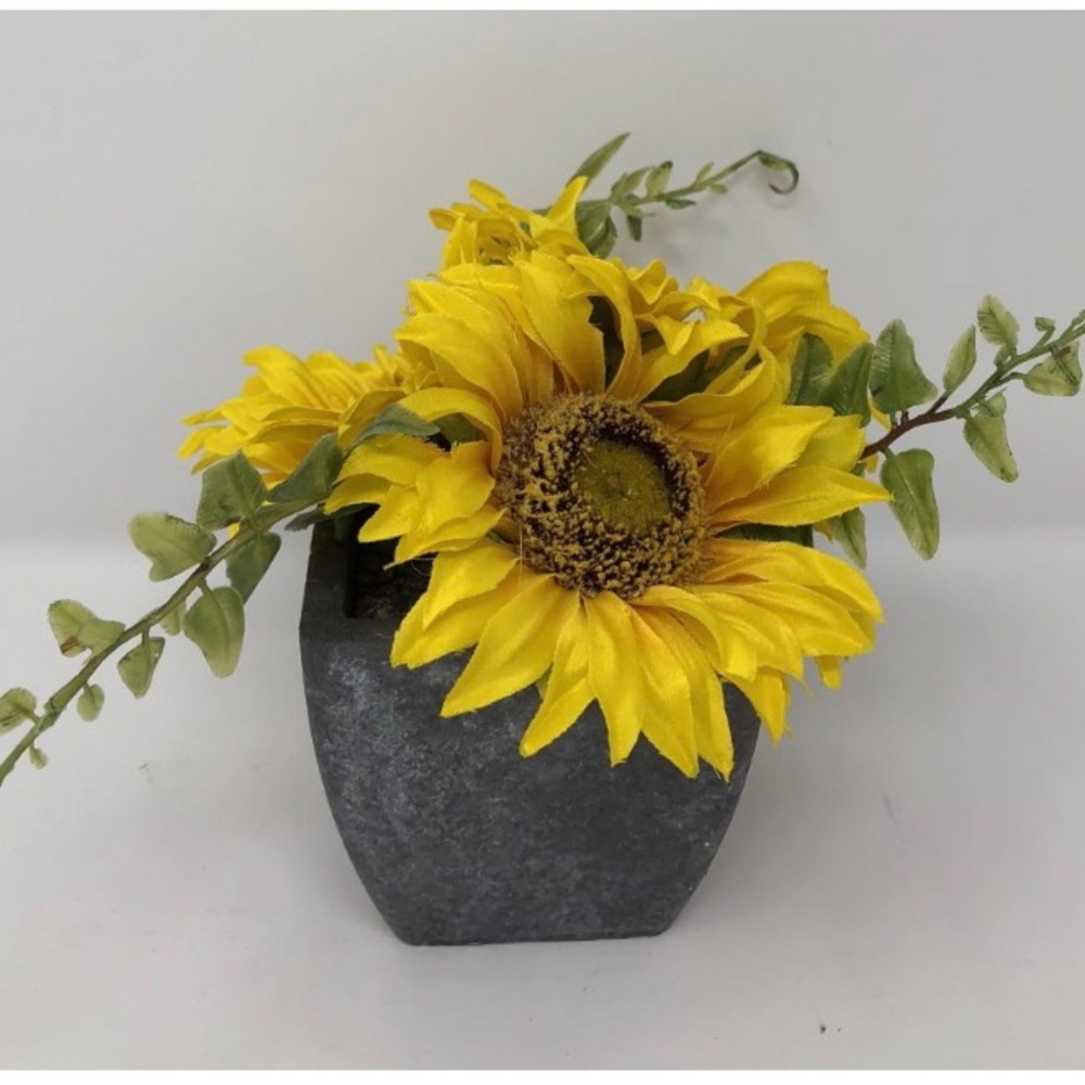 4” Potted Sunflower